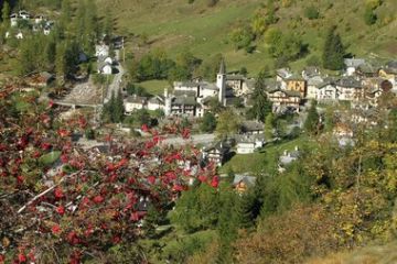 Carcoforo in autunno