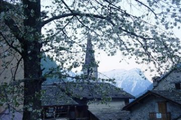 Carcoforo in primavera