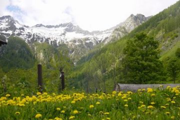 Carcoforo in primavera