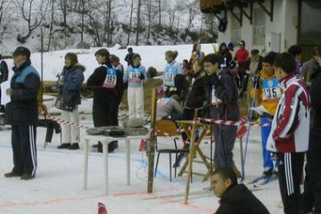 Sfoglia la galleria