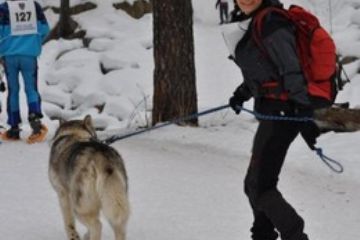 Superciaspolata della Valsesia