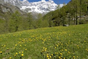 Parco Naturale Alta Valsesia - Panorama