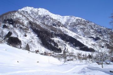 Sfoglia la galleria