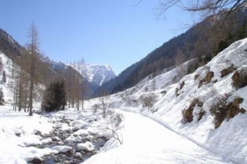 La pista Rossa scende verso la località Le Pianelle: vista verso la bassa valle (Ft. di Claudio Trova)
