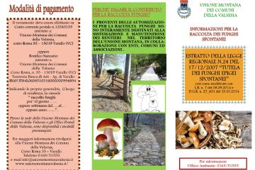 RACCOLTA FUNGHI