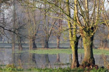 Ristoro dei danni alle attività economiche e produttive - eventi meteorologici del 29/30 giugno 2024 e 4/5 settembre 2024 – perfezionamento domande